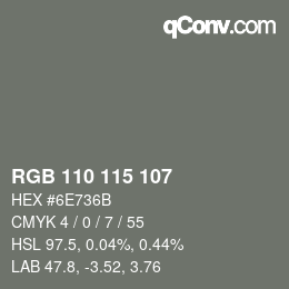 Code couleur: RGB 110 115 107 | qconv.com