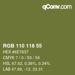 Farbcode: RGB 110 118 55 | qconv.com