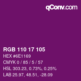 Color code: RGB 110 17 105 | qconv.com