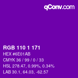 Color code: RGB 110 1 171 | qconv.com