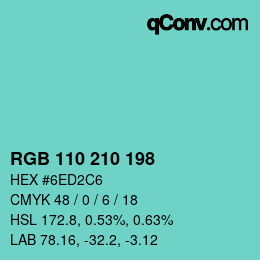 Color code: RGB 110 210 198 | qconv.com