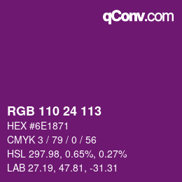 Color code: RGB 110 24 113 | qconv.com