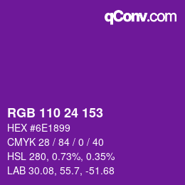 Color code: RGB 110 24 153 | qconv.com