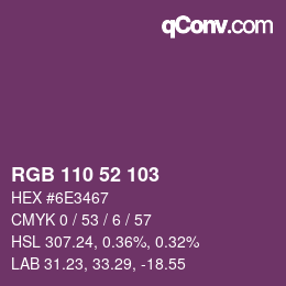 Color code: RGB 110 52 103 | qconv.com