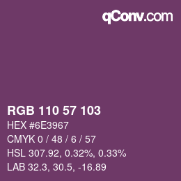 Color code: RGB 110 57 103 | qconv.com