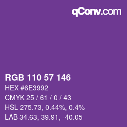 Color code: RGB 110 57 146 | qconv.com