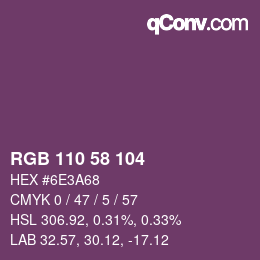 Color code: RGB 110 58 104 | qconv.com