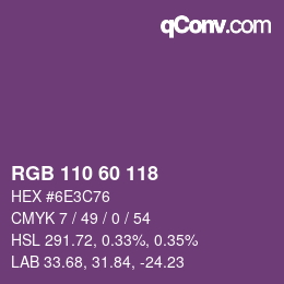 颜色代码: RGB 110 60 118 | qconv.com