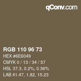 Código de color: RGB 110 96 73 | qconv.com