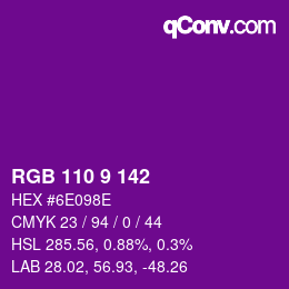 Color code: RGB 110 9 142 | qconv.com