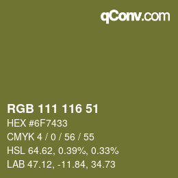 カラーコード: RGB 111 116 51 | qconv.com