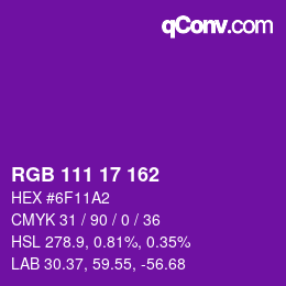 Color code: RGB 111 17 162 | qconv.com