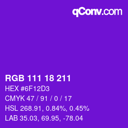 Color code: RGB 111 18 211 | qconv.com