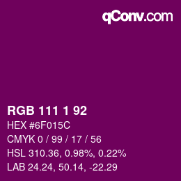 カラーコード: RGB 111 1 92 | qconv.com