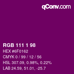 Color code: RGB 111 1 98 | qconv.com