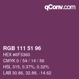 Farbcode: RGB 111 51 96 | qconv.com