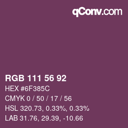 Color code: RGB 111 56 92 | qconv.com