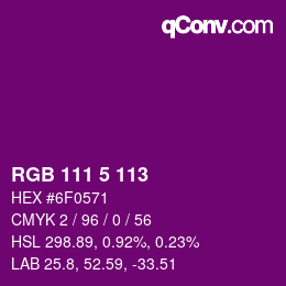 Color code: RGB 111 5 113 | qconv.com