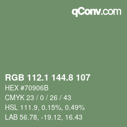 カラーコード: RGB 112.1 144.8 107 | qconv.com