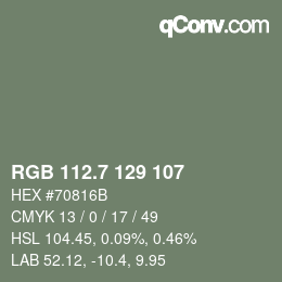 カラーコード: RGB 112.7 129 107 | qconv.com