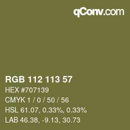 Farbcode: RGB 112 113 57 | qconv.com