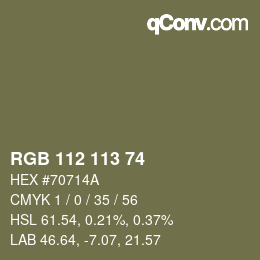 カラーコード: RGB 112 113 74 | qconv.com