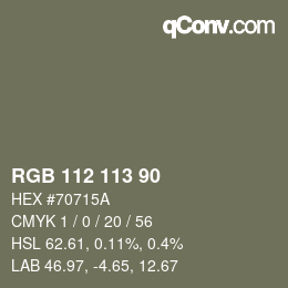 Color code: RGB 112 113 90 | qconv.com