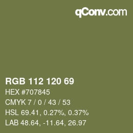 Código de color: RGB 112 120 69 | qconv.com