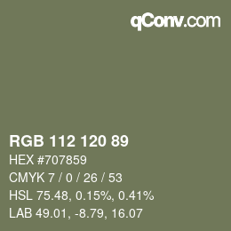 カラーコード: RGB 112 120 89 | qconv.com