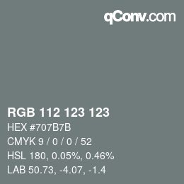 Código de color: RGB 112 123 123 | qconv.com