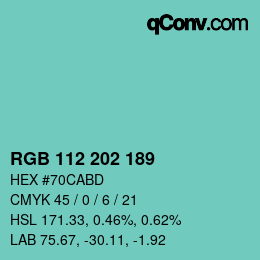 Farbcode: RGB 112 202 189 | qconv.com