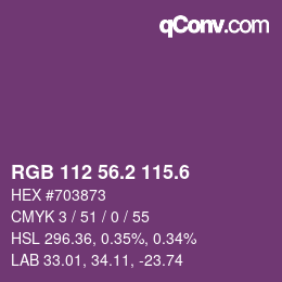 カラーコード: RGB 112 56.2 115.6 | qconv.com
