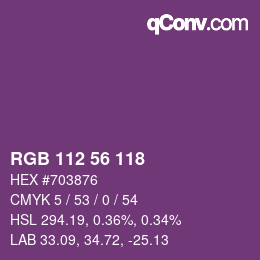 Farbcode: RGB 112 56 118 | qconv.com