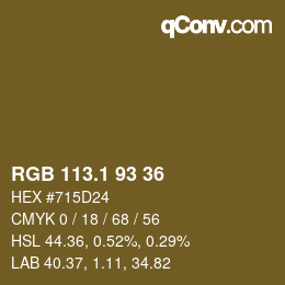 カラーコード: RGB 113.1 93 36 | qconv.com