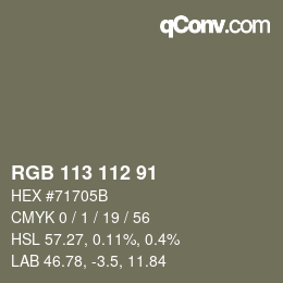 颜色代码: RGB 113 112 91 | qconv.com