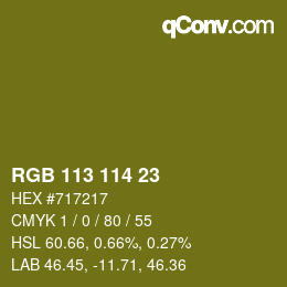 Farbcode: RGB 113 114 23 | qconv.com