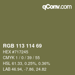 Farbcode: RGB 113 114 69 | qconv.com