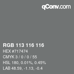 Code couleur: RGB 113 116 116 | qconv.com