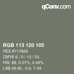 颜色代码: RGB 113 120 105 | qconv.com