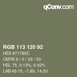 颜色代码: RGB 113 120 92 | qconv.com