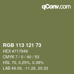 Color code: RGB 113 121 73 | qconv.com