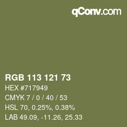 カラーコード: RGB 113 121 73 | qconv.com