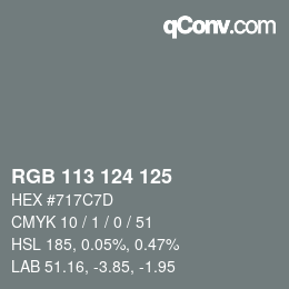 Color code: RGB 113 124 125 | qconv.com