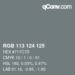 カラーコード: RGB 113 124 125 | qconv.com