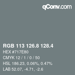 カラーコード: RGB 113 126.8 128.4 | qconv.com