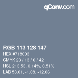 Color code: RGB 113 128 147 | qconv.com