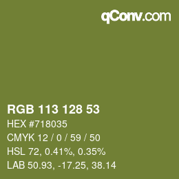 Código de color: RGB 113 128 53 | qconv.com