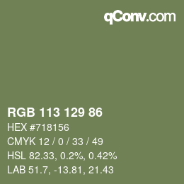 Farbcode: RGB 113 129 86 | qconv.com