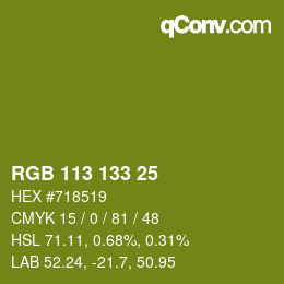 Color code: RGB 113 133 25 | qconv.com