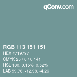 Color code: RGB 113 151 151 | qconv.com